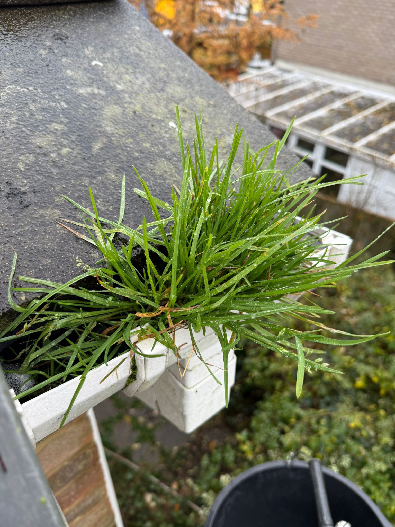 Blocked gutter downpipe in Witley
